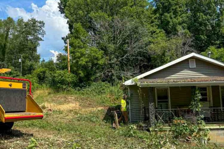 Tree Service Contractor in Bristol, VA Handles Emergency Removal