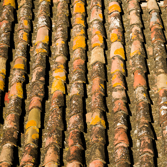 Roofs for Life, Inc.: Bradenton’s Expert Roofers