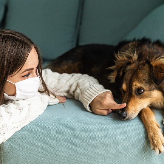 Harbourside Animal Hospital: Tampa’s Trusted Veterinarians