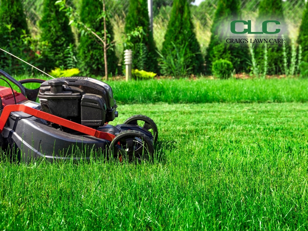 Craig’s Lawn Care Leads Lawn Mowing Service Arlington VA