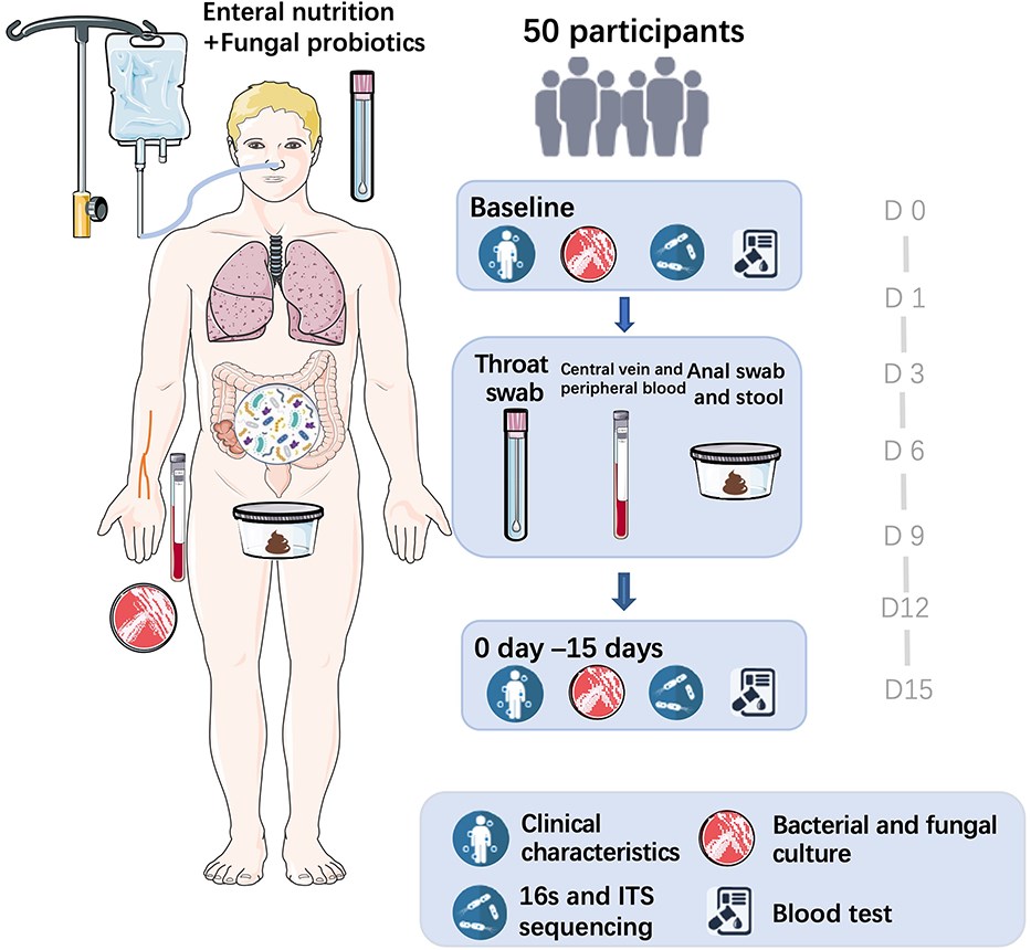 Targeting the gut–lung microbiome to reduce infections in severe pancreatitis