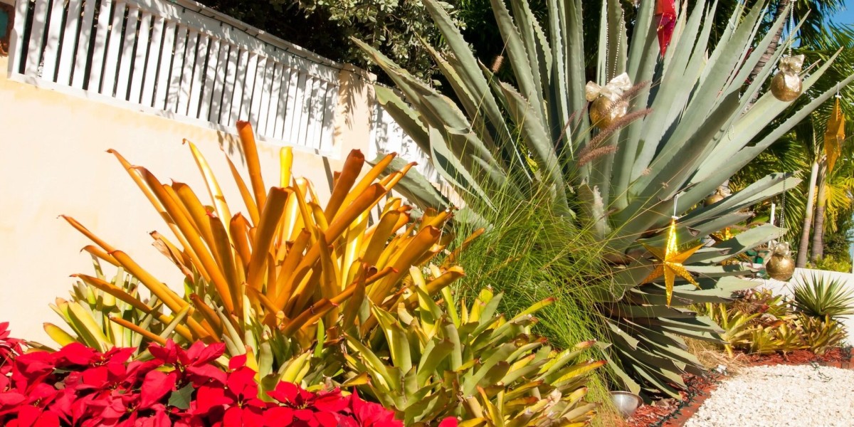 Your Go-To Source for Native Plants in Winter Haven, Florida