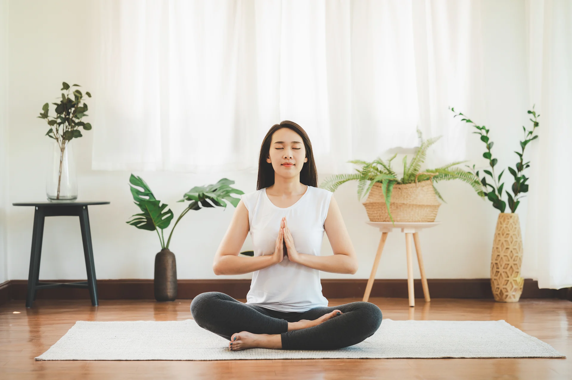 Yoga Classes for All Levels Announced: From Hatha to Modern Wellness