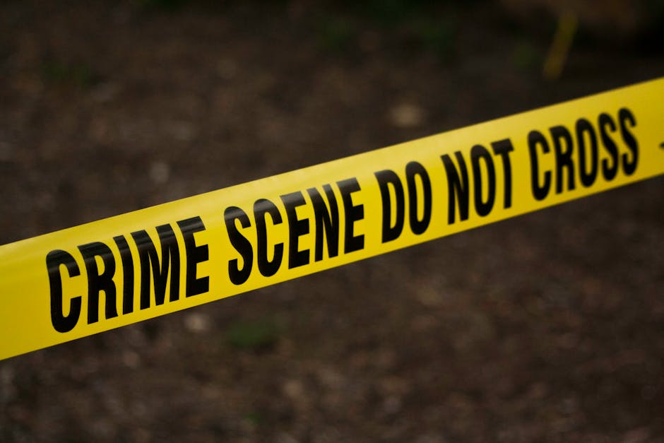 Why Crime Novels Are Popular: Psychology, Reader Appeal & Sub-Genre Guide